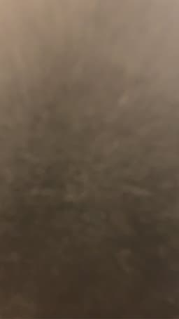 nidal