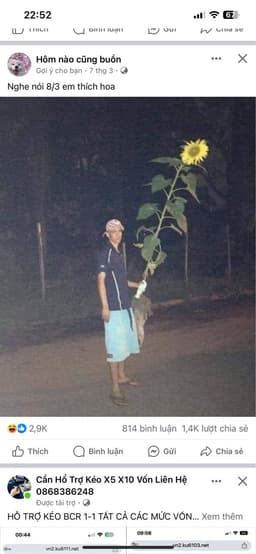 Văn Tú