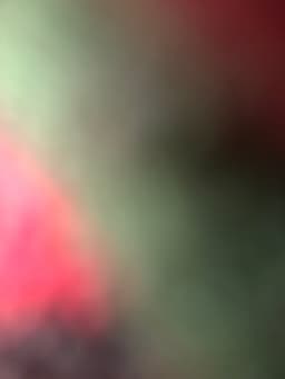 semô