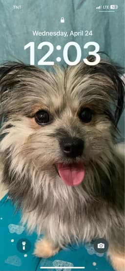 Lucypearl