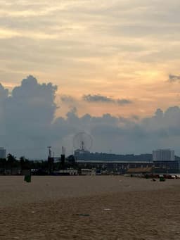 Gấu iuu
