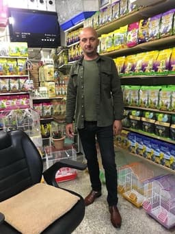 Yılgör Koray