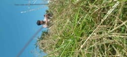 sanjay