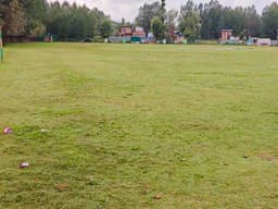 4363159