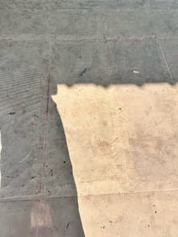 bvv
