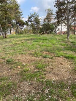 Akbaş Ayaz