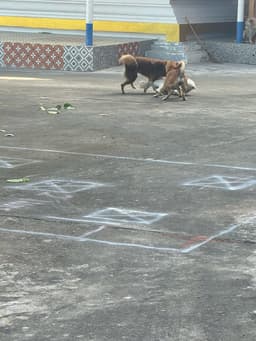 MA RK