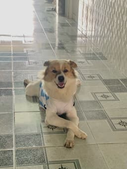 BaoThie