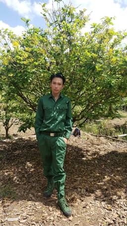 Tran Nghia