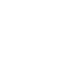 Apple icon